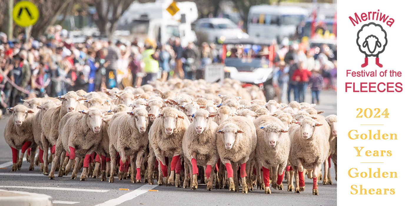 Merriwa's Festival of the Fleeces