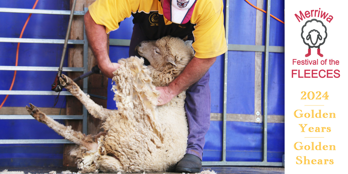 Merriwa's Festival of the Fleeces