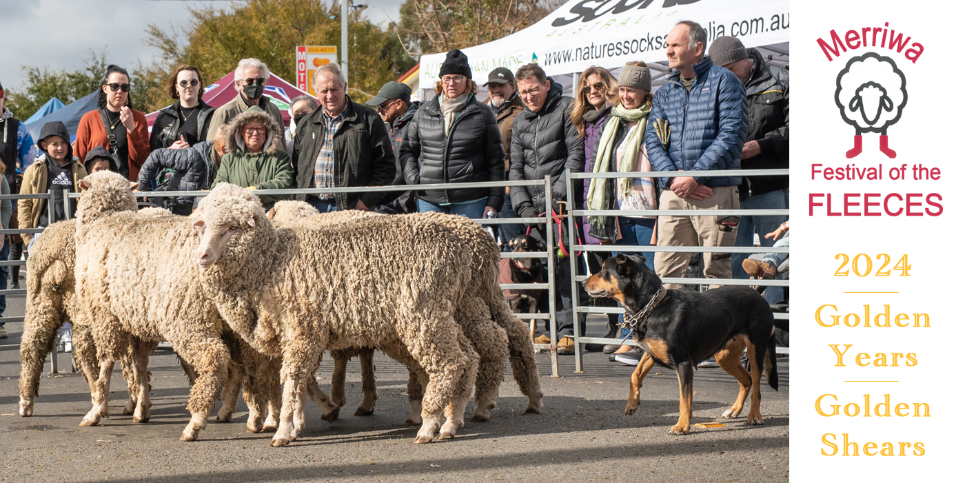 Merriwa's Festival of the Fleeces